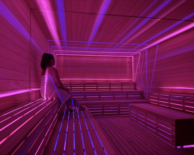 Sauna naturysty Hotel Faltom